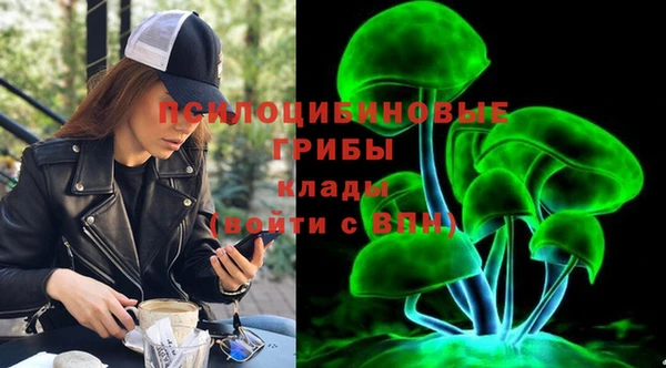 гидра Волоколамск