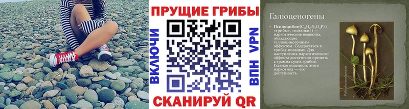 hydra сайт  Новый Уренгой  Псилоцибиновые грибы мухоморы 