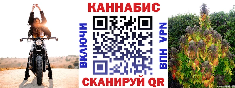 Бошки марихуана сатива  Новый Уренгой 